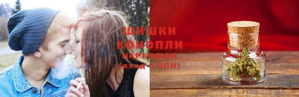 Альфа ПВП Горнозаводск
