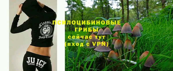 Альфа ПВП Горнозаводск